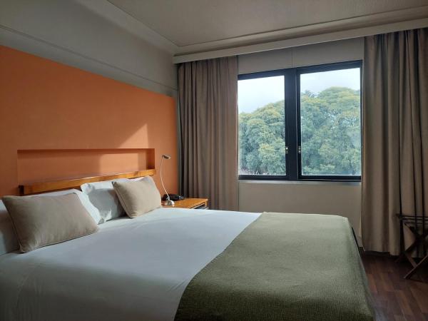 Hotel Raices Aconcagua : photo 3 de la chambre chambre double classique