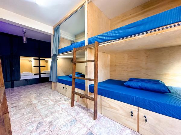 Casa Monarca : photo 2 de la chambre lit dans dortoir mixte de 6 lits
