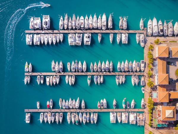 La Lucciola apartments : photo 3 de la chambre appartement 1 chambre avec jardin