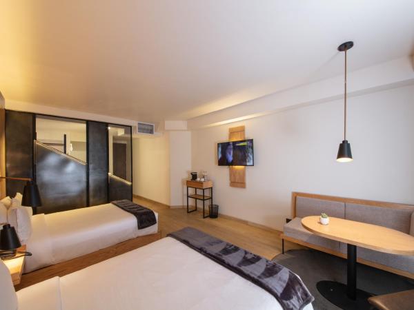 Autentico Monterrey : photo 3 de la chambre chambre double standard