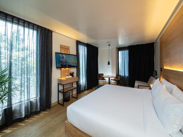 Autentico Monterrey : photo 5 de la chambre chambre lit king-size standard