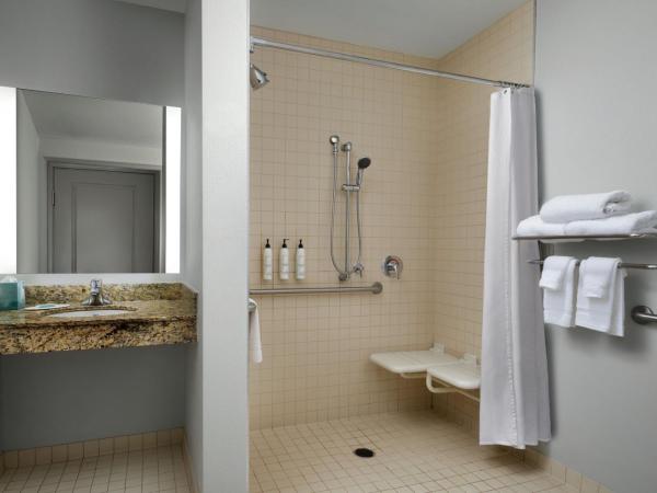 TownePlace Suites by Marriott Columbia Northwest/Harbison : photo 10 de la chambre studio lit king-size avec canapé-lit - accessible aux personnes malentendantes