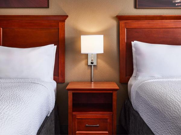 TownePlace Suites by Marriott Colorado Springs South : photo 2 de la chambre studio queen avec 2 lits queen-size