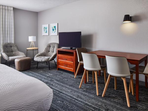 TownePlace Suites by Marriott Colorado Springs South : photo 6 de la chambre studio lit king-size
