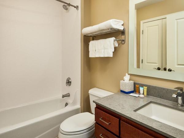 TownePlace Suites by Marriott Colorado Springs South : photo 9 de la chambre studio lit king-size