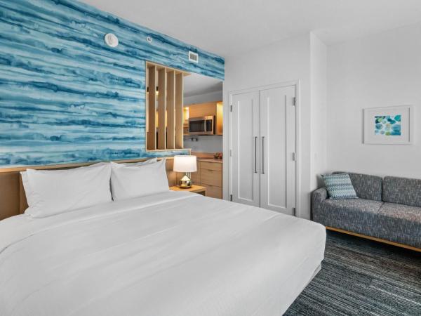 TownePlace Suites Jacksonville Airport : photo 9 de la chambre studio lit king-size avec canapé-lit