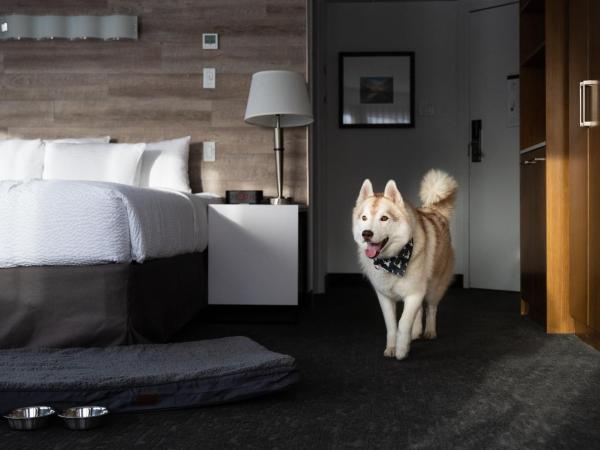 Elk + Avenue Hotel : photo 3 de la chambre chambre lit queen-size standard avec 2 lits queen-size - animaux domestiques acceptés