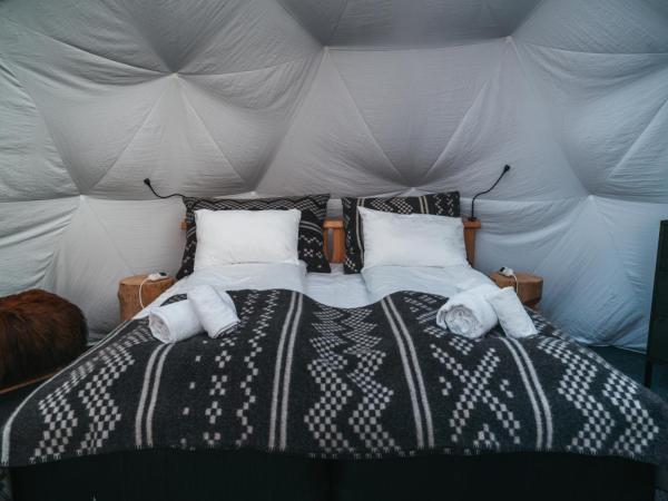 Aera - Glass cabins : photo 4 de la chambre aurora igloo