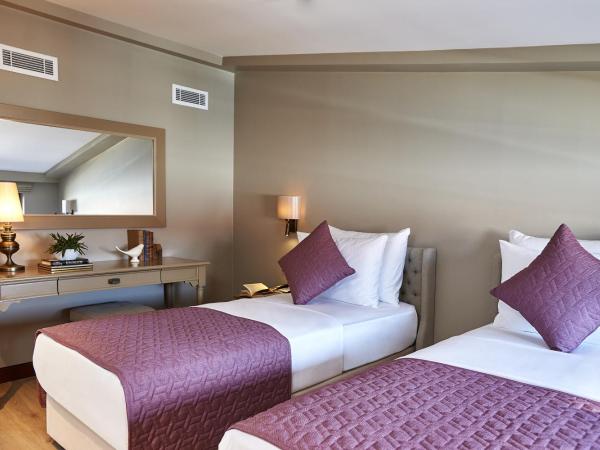 Renata Boutique Hotel Sisli : photo 6 de la chambre suite penthouse avec sauna et jacuzzi