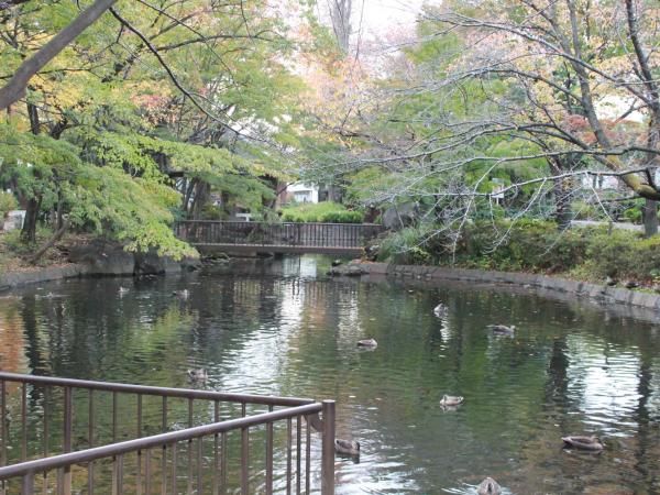 GrapeHouse Koenji : photo 7 de la chambre chambre lits jumeaux Économique pour femmes