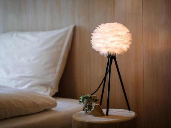 Wildstrubel Lodge : photo 2 de la chambre chambre deluxe