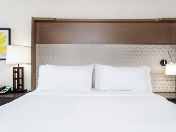 Holiday Inn & Suites Across From Universal Orlando, an IHG Hotel : photo 9 de la chambre suite exécutive - non-fumeurs 