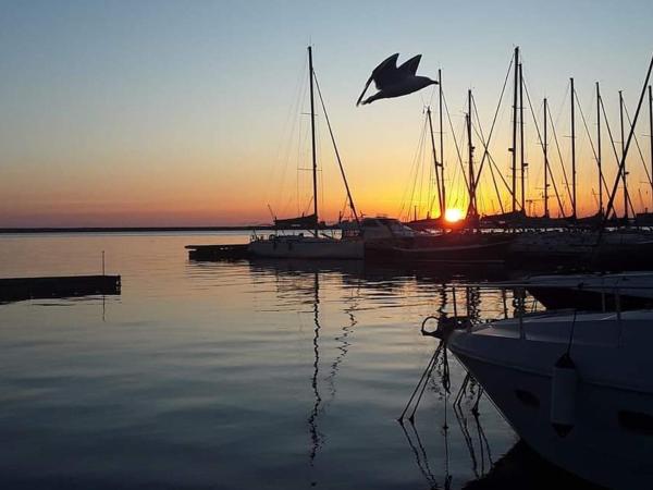 Isla blanca : photo 9 de la chambre mobile home