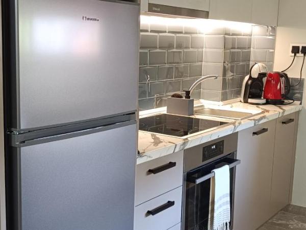 Pyrgiou suites : photo 7 de la chambre appartement 1 chambre