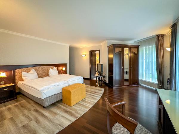 Weltemühle Hotel by Miri's Dresden : photo 7 de la chambre suite