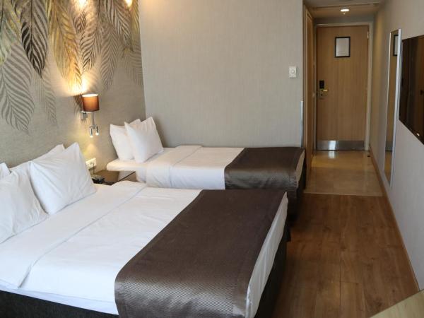 Riva Hotel Taksim : photo 5 de la chambre chambre double
