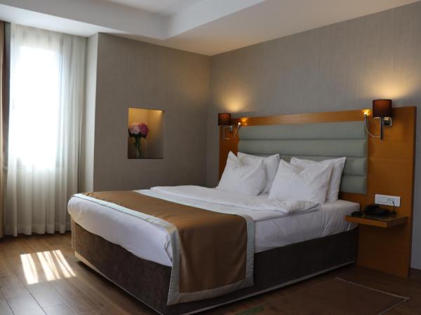 Riva Hotel Taksim : photo 1 de la chambre suite junior