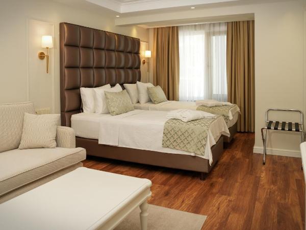 Gaia İstanbul : photo 5 de la chambre chambre lits jumeaux standard