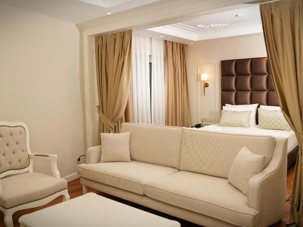 Gaia İstanbul : photo 2 de la chambre chambre deluxe
