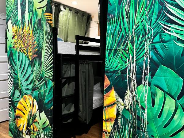 Echo Zen Hostal : photo 4 de la chambre lits superposés dans dortoir masculin