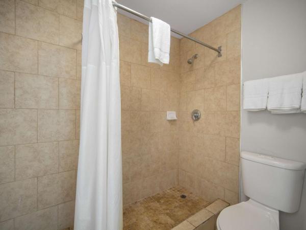 Motel 6 San Antonio, TX I-35 North Corridor : photo 5 de la chambre chambre lit king-size - non-fumeurs