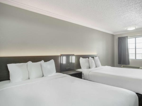 Motel 6 San Antonio, TX I-35 North Corridor : photo 4 de la chambre chambre avec 2 lits queen-size et douche accessible en fauteuil roulant - adaptée aux personnes à mobilité réduite