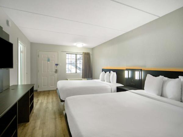 Motel 6 San Antonio, TX I-35 North Corridor : photo 2 de la chambre chambre avec 2 lits queen-size et douche accessible en fauteuil roulant - adaptée aux personnes à mobilité réduite