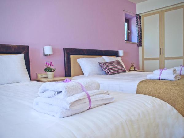 Arktos Hotel : photo 3 de la chambre chambre familiale - vue sur lac