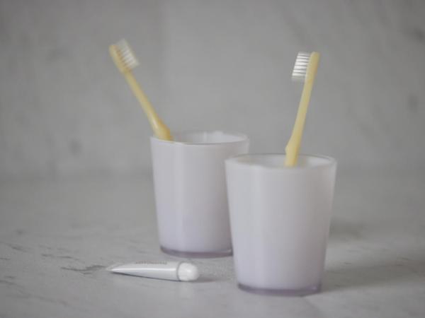 Kobe Motomachi Tokyu REI Hotel : photo 8 de la chambre chambre lits jumeaux hollywood - non-fumeurs