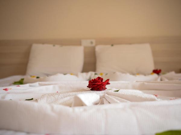 Ant Butik Otel : photo 4 de la chambre chambre double deluxe avec baignoire