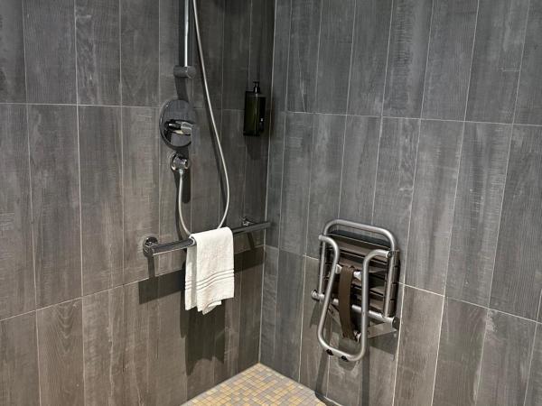 ibis Saint-Malo Madeleine : photo 4 de la chambre chambre supérieure avec douche à l'italienne - accessible aux personnes à mobilité réduite