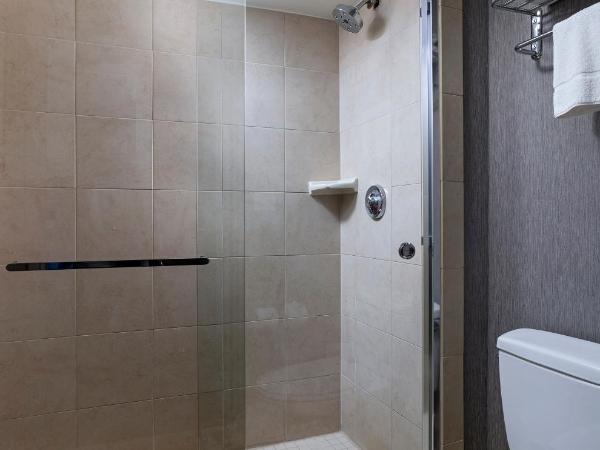 Hyatt Place Austin Arboretum Domain Area : photo 8 de la chambre chambre lit king-size avec canapé-lit