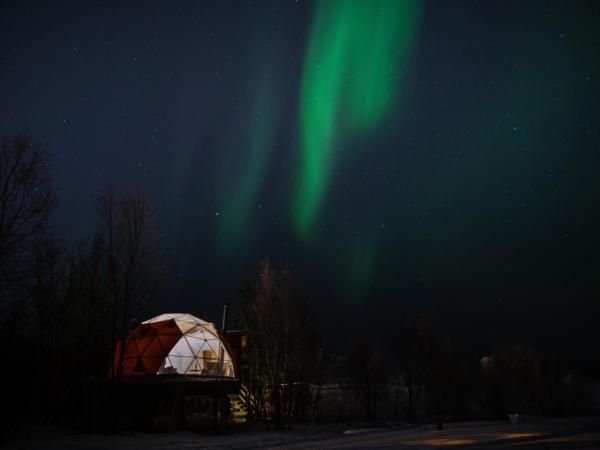 Aera - Glass cabins : photo 3 de la chambre aurora igloo