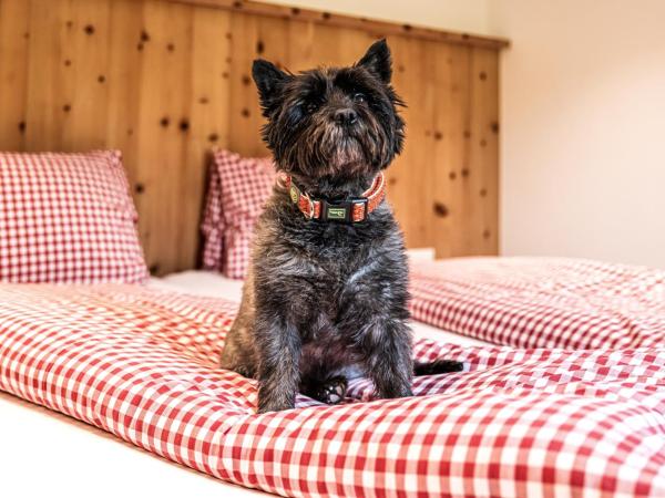 Erzhorn : photo 3 de la chambre chambre quadruple confort