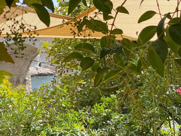 Cabanon privatif les pieds dans l'eau : photo 1 de la chambre chambre double - vue sur mer