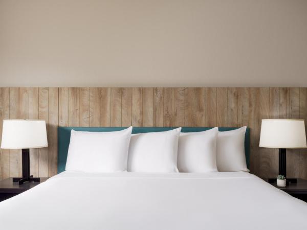 Country Inn & Suites by Radisson, Orlando Airport, FL : photo 3 de la chambre suite 1 chambre lit king-size