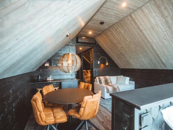 Apukka Resort : photo 3 de la chambre aurora cabin family