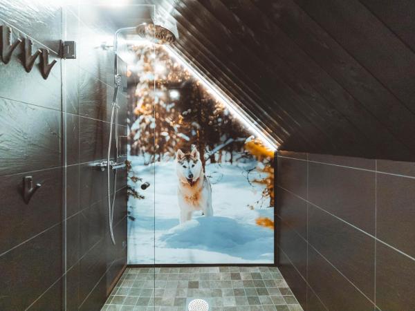 Apukka Resort : photo 4 de la chambre aurora cabin family