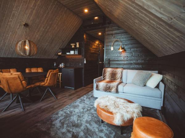 Apukka Resort : photo 8 de la chambre aurora cabin family