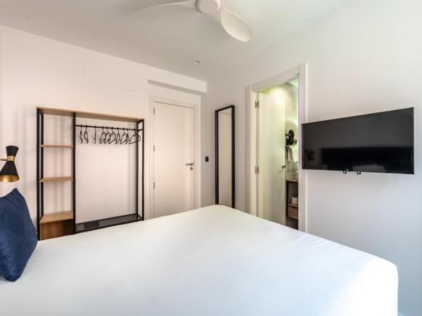 Arenal Suites Bilbao : photo 3 de la chambre chambre simple