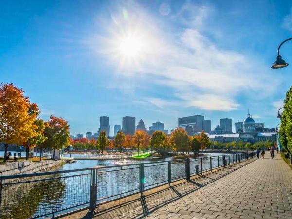Liv MTL Avenue : photo 7 de la chambre avenue-1275 | spacious 3br suite + rooftop bbq downtown mtl