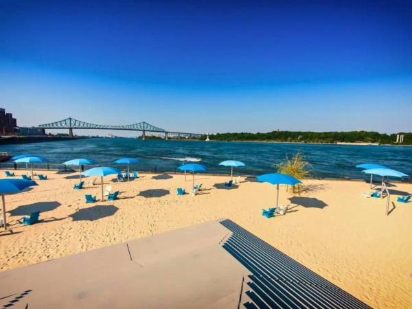 Liv MTL Chic : photo 1 de la chambre chic-2 | spacious 4br suite + rooftop bbq downtown mtl