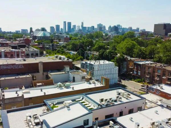 Liv MTL Chic : photo 7 de la chambre chic-2 | spacious 4br suite + rooftop bbq downtown mtl