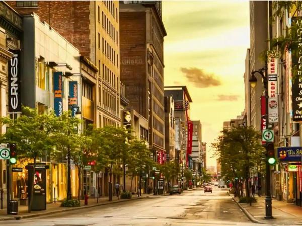 Liv MTL Chic : photo 9 de la chambre chic-2 | spacious 4br suite + rooftop bbq downtown mtl