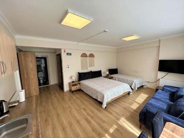 ZMF Pansiyon : photo 9 de la chambre chambre familiale