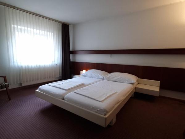Spalenbrunnen Hotel & Restaurant Basel City Center : photo 6 de la chambre chambre double ou lits jumeaux