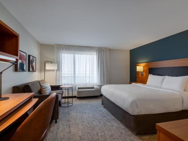 TownePlace Suites by Marriott Albuquerque North : photo 5 de la chambre studio lit king-size avec canapé-lit