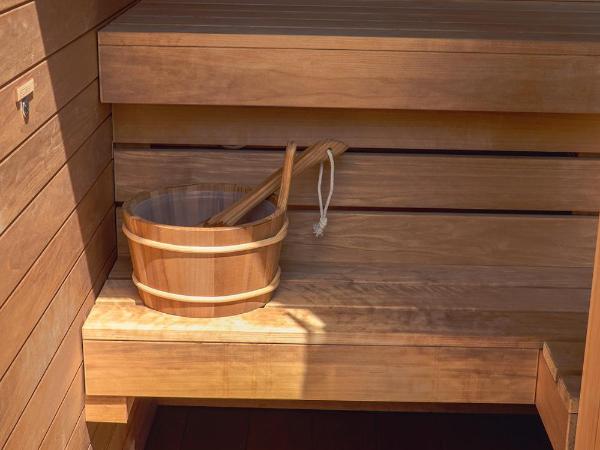 Imola Hotel Platán : photo 1 de la chambre suite avec sauna