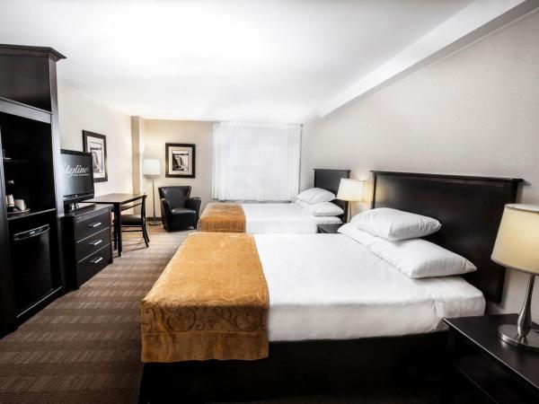 Skyline Hotel & Waterpark : photo 3 de la chambre hébergement traditionnel avec 2 lits queen-size - hébergement uniquement