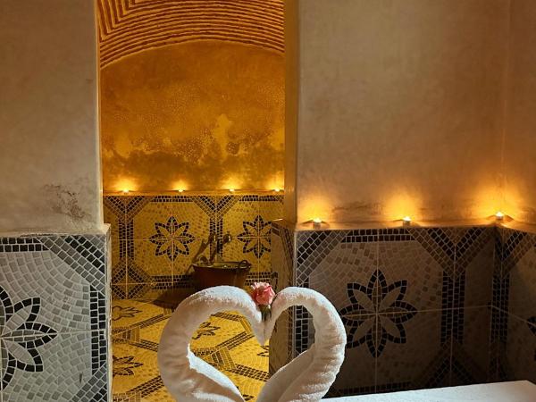 Palais Riad Berbère : photo 1 de la chambre suite exécutive